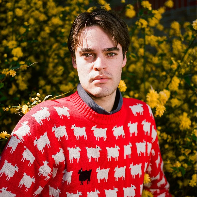 mens-cotton-sheep-sweater