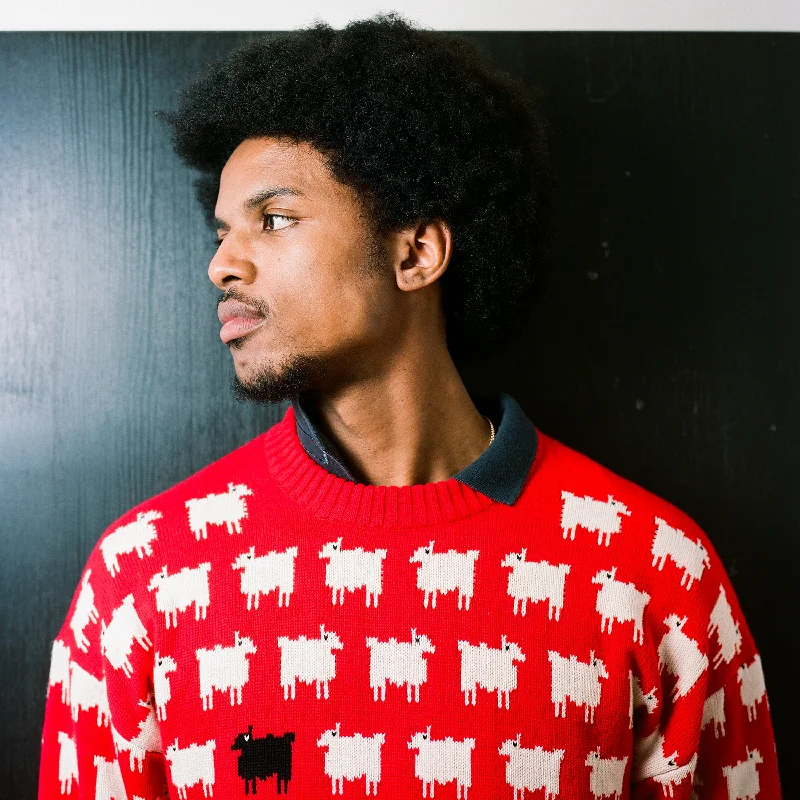 mens-cotton-sheep-sweater