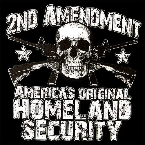 2nd-amendment-americas-original-home-land-security-mens-t-shirt